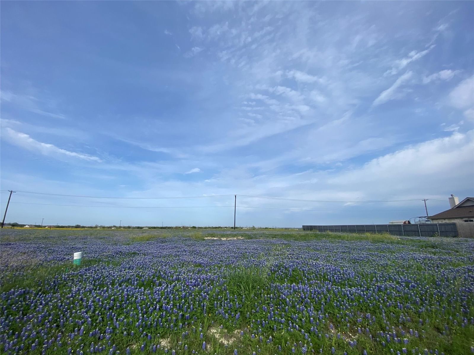 360 Meadow Valley LOOP - Photo 1
