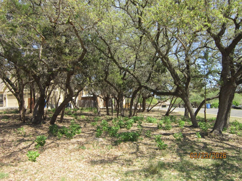 Property photo 20