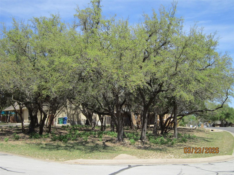 Property photo 24