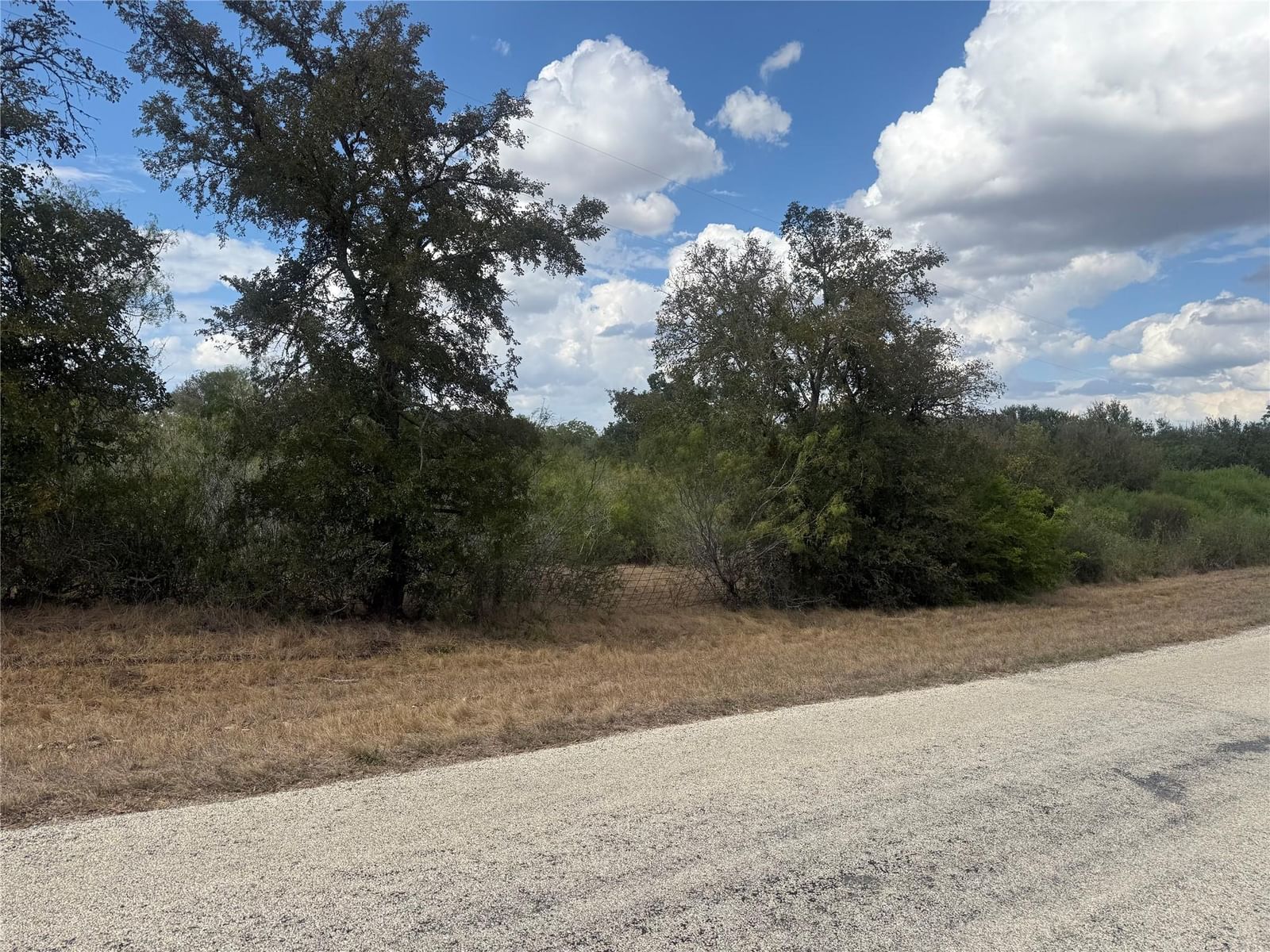 TBD Wilke RD - Photo 1