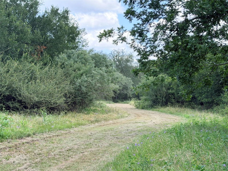 Property photo 18