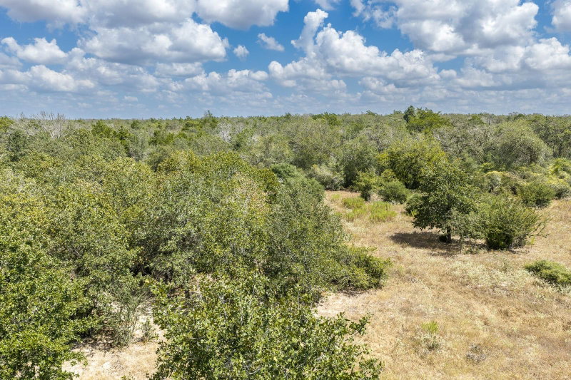 Property photo 34