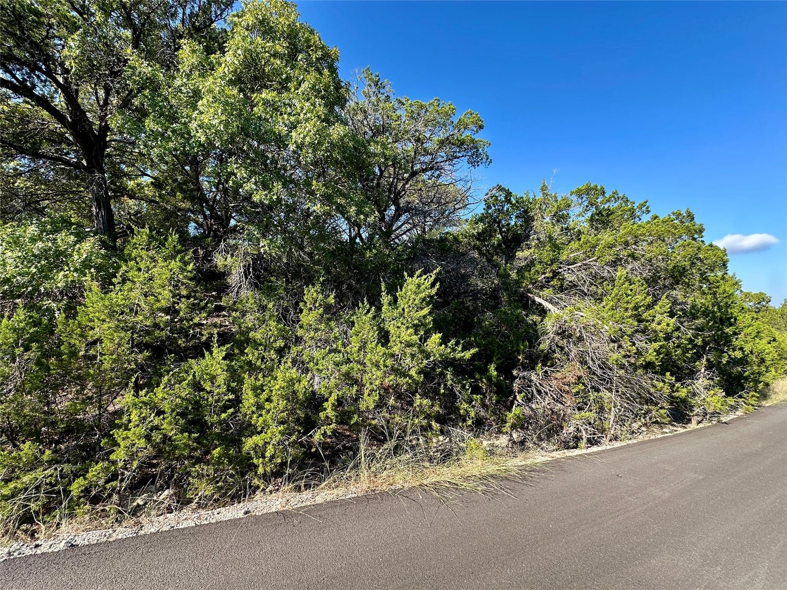 7935 Folklore CIR - Photo 1