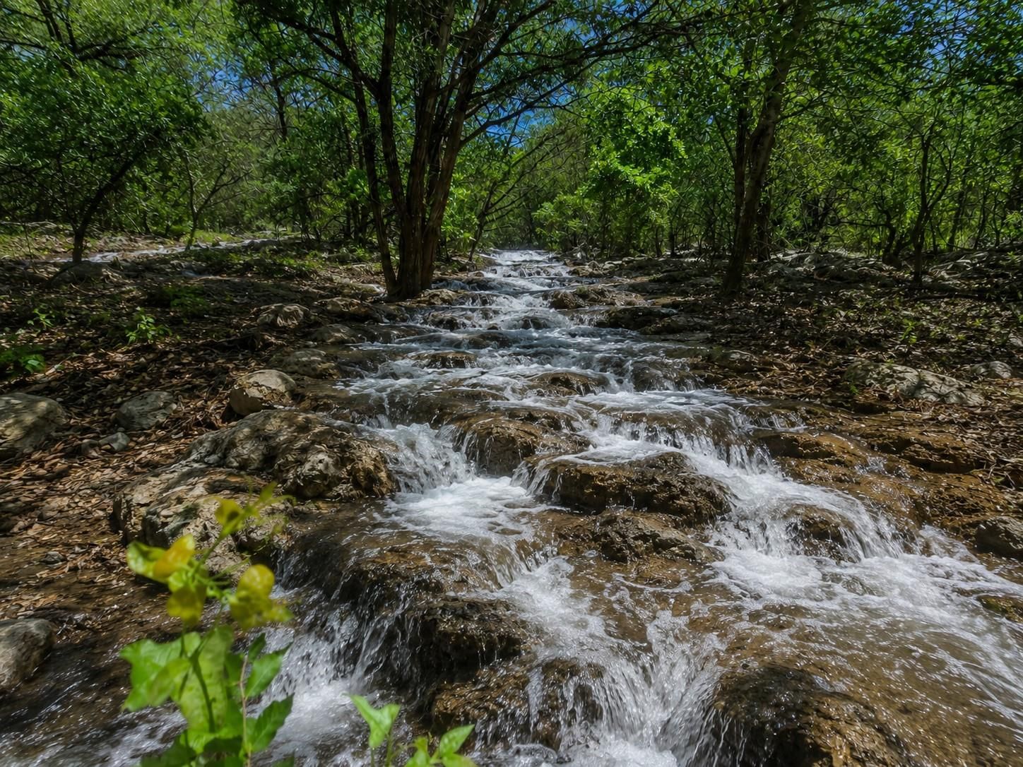 Photo 29