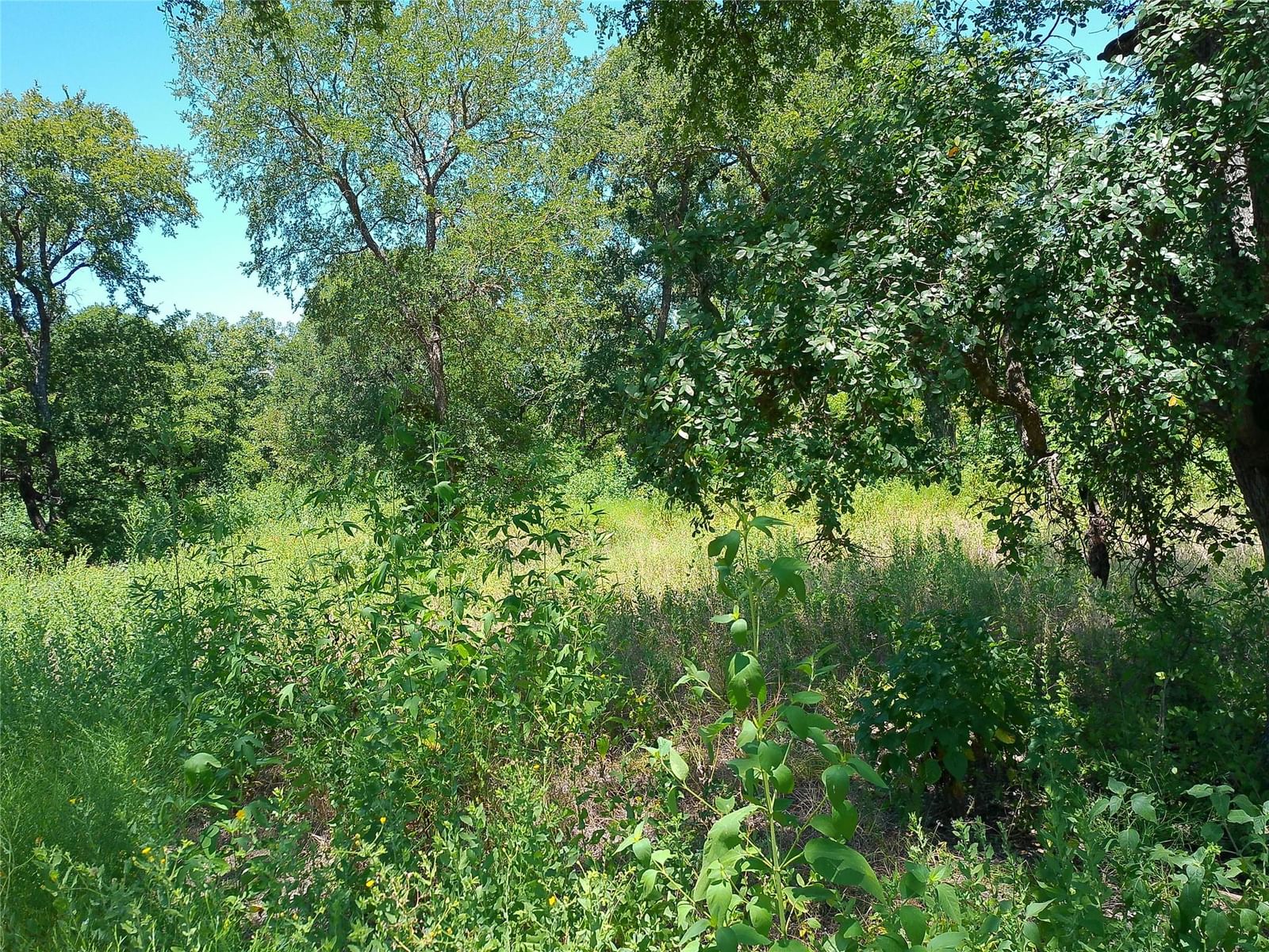 Photo 32