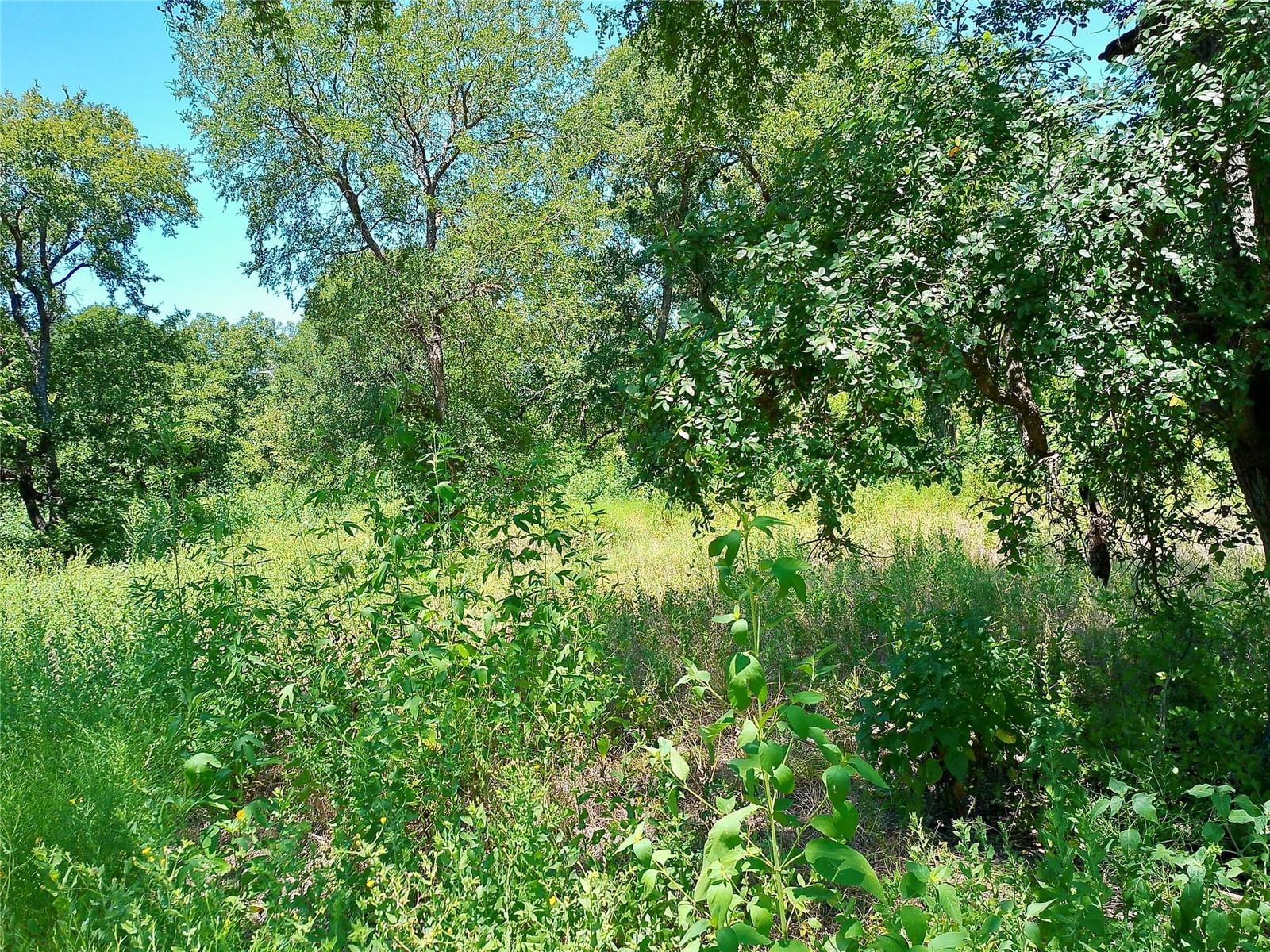 Photo 33