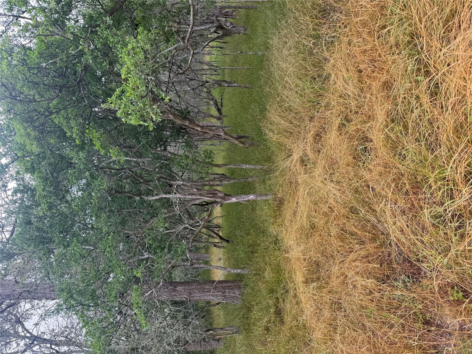 109 Hauula CT - Photo 1