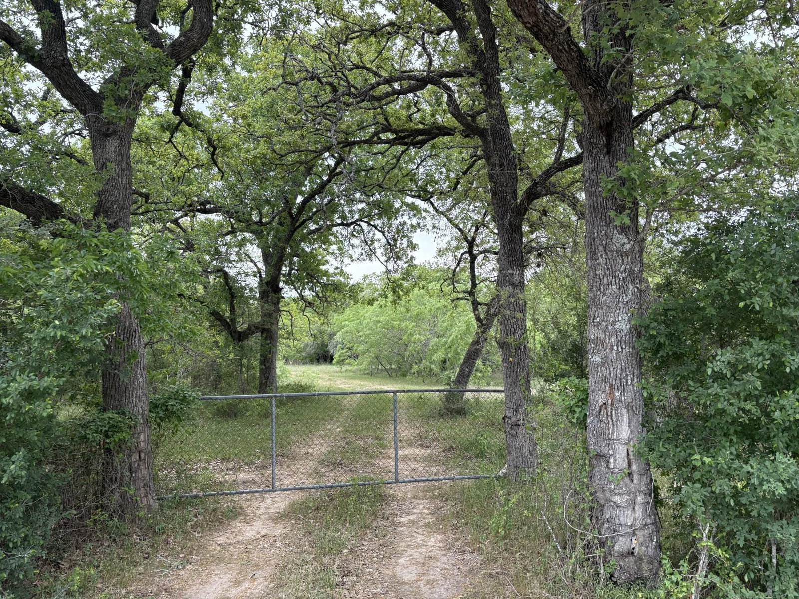 TBD ANCHOR RANCH LOOP - Photo 1
