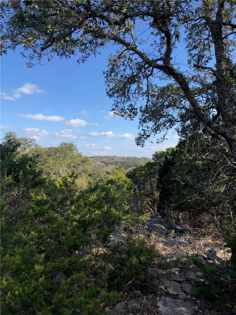 441 Cliffview CIR - Photo 1