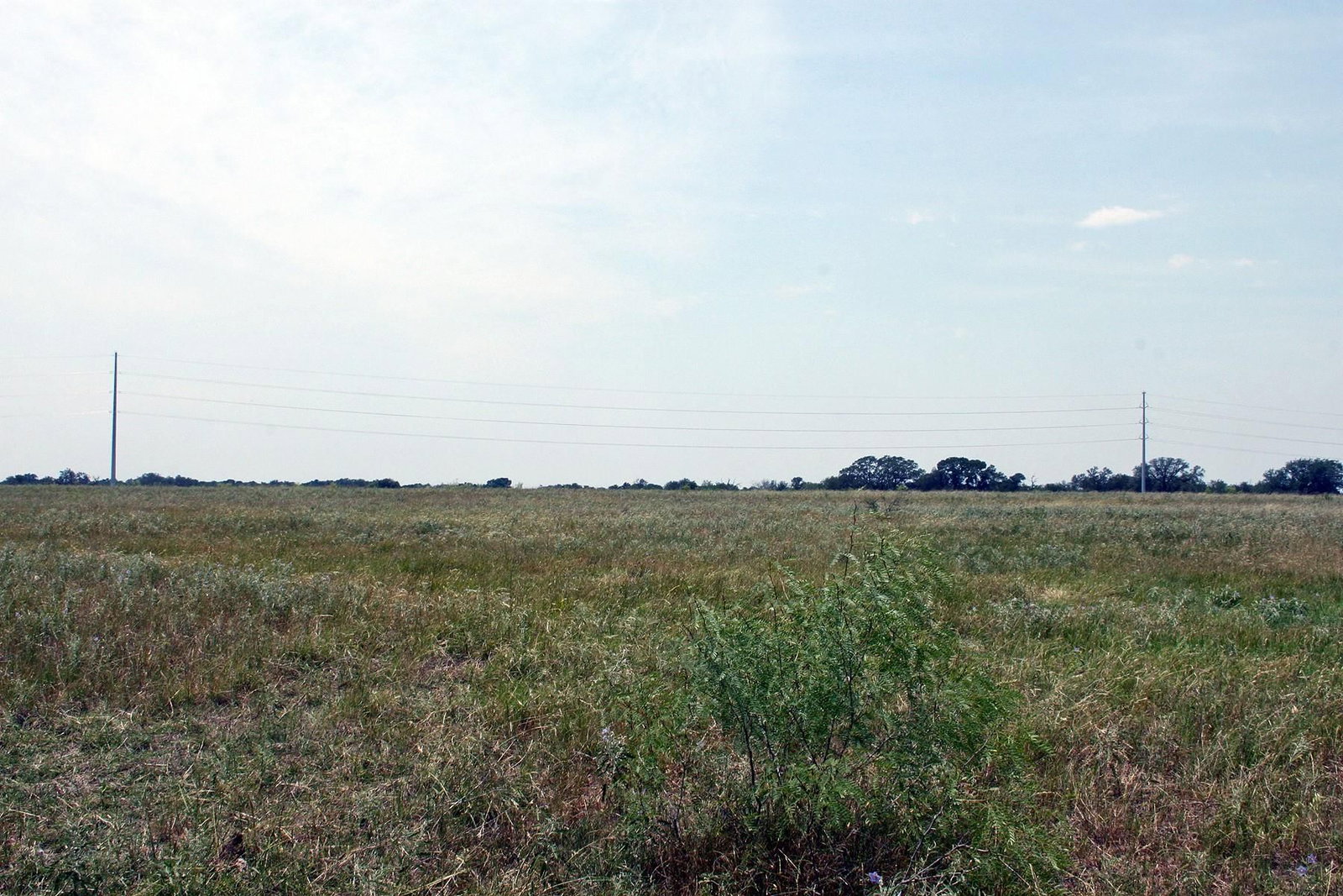 Photo 29