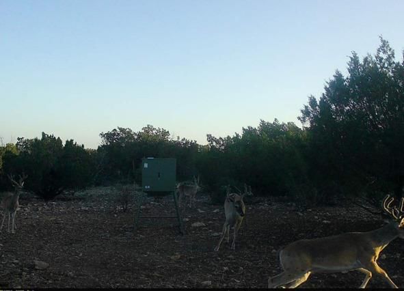 Photo 36