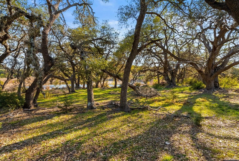 Property photo 37