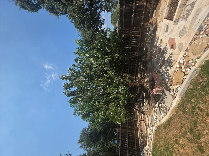 Property photo 22