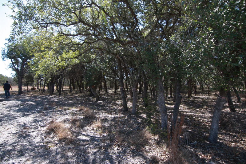 Property photo 25