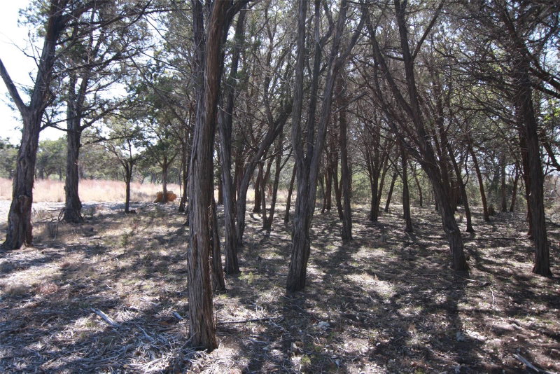 Property photo 28