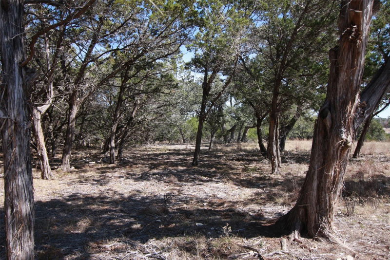 Property photo 29