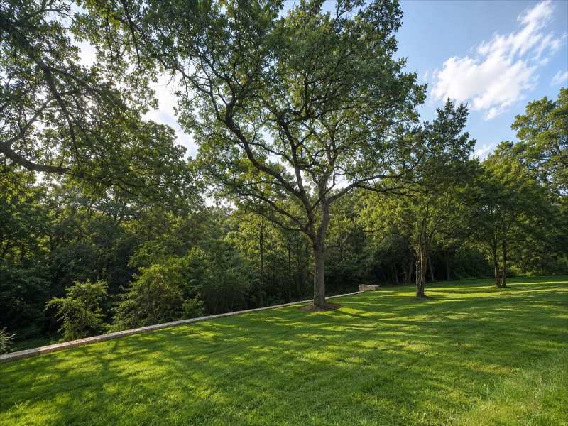 Property photo 34