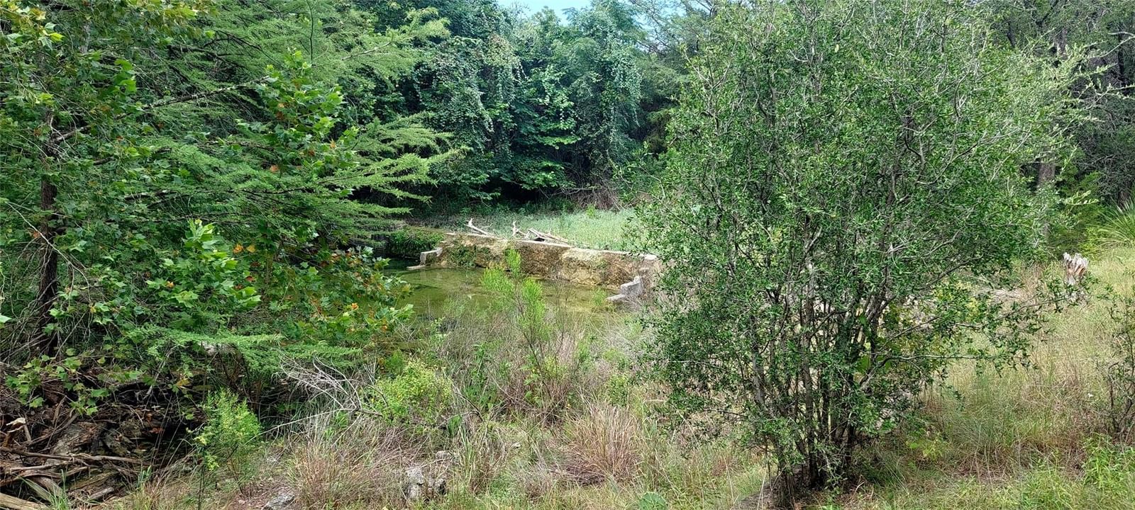 Photo 24