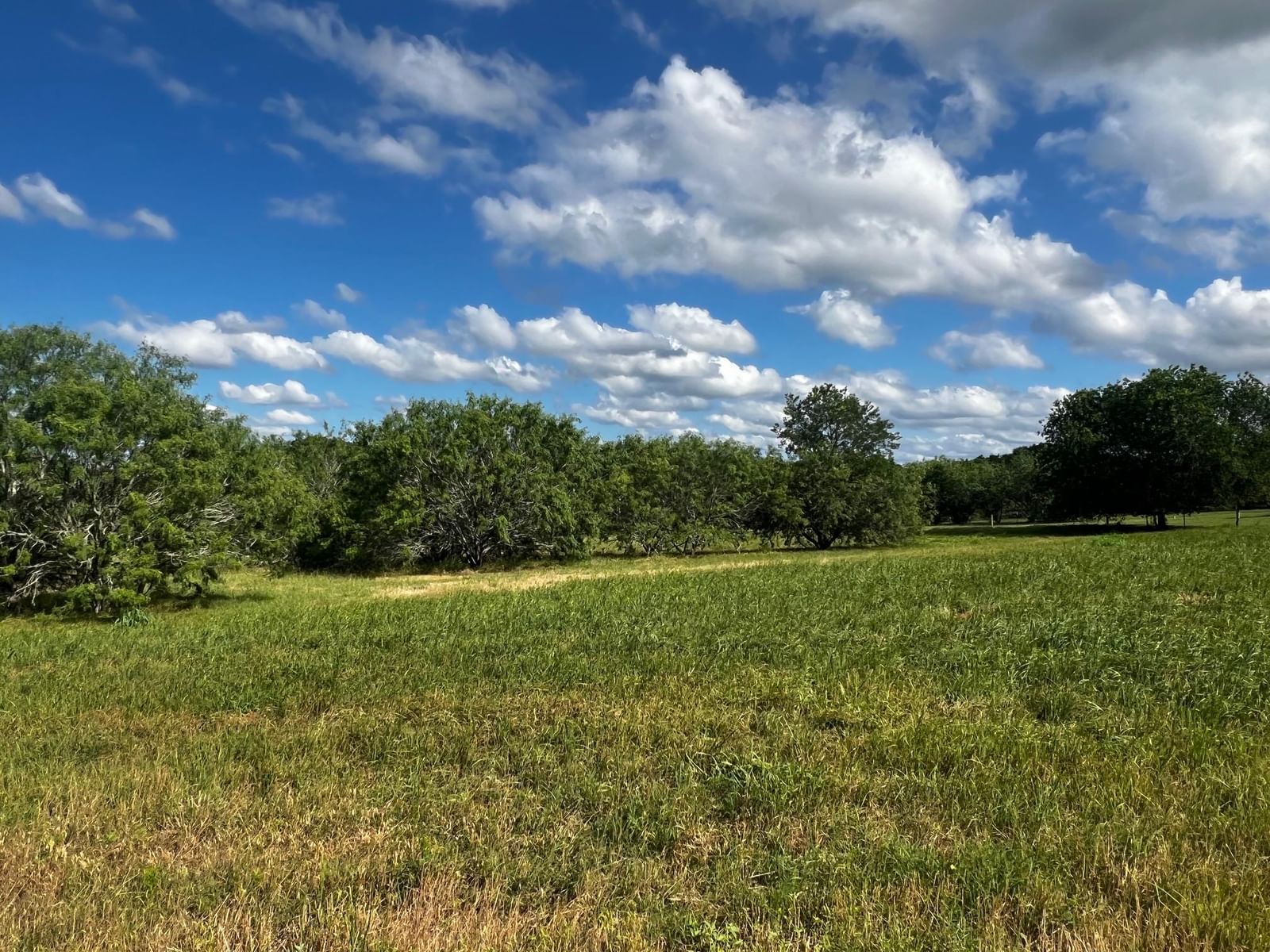 Lot 5 High Meadow Court East - Photo 1