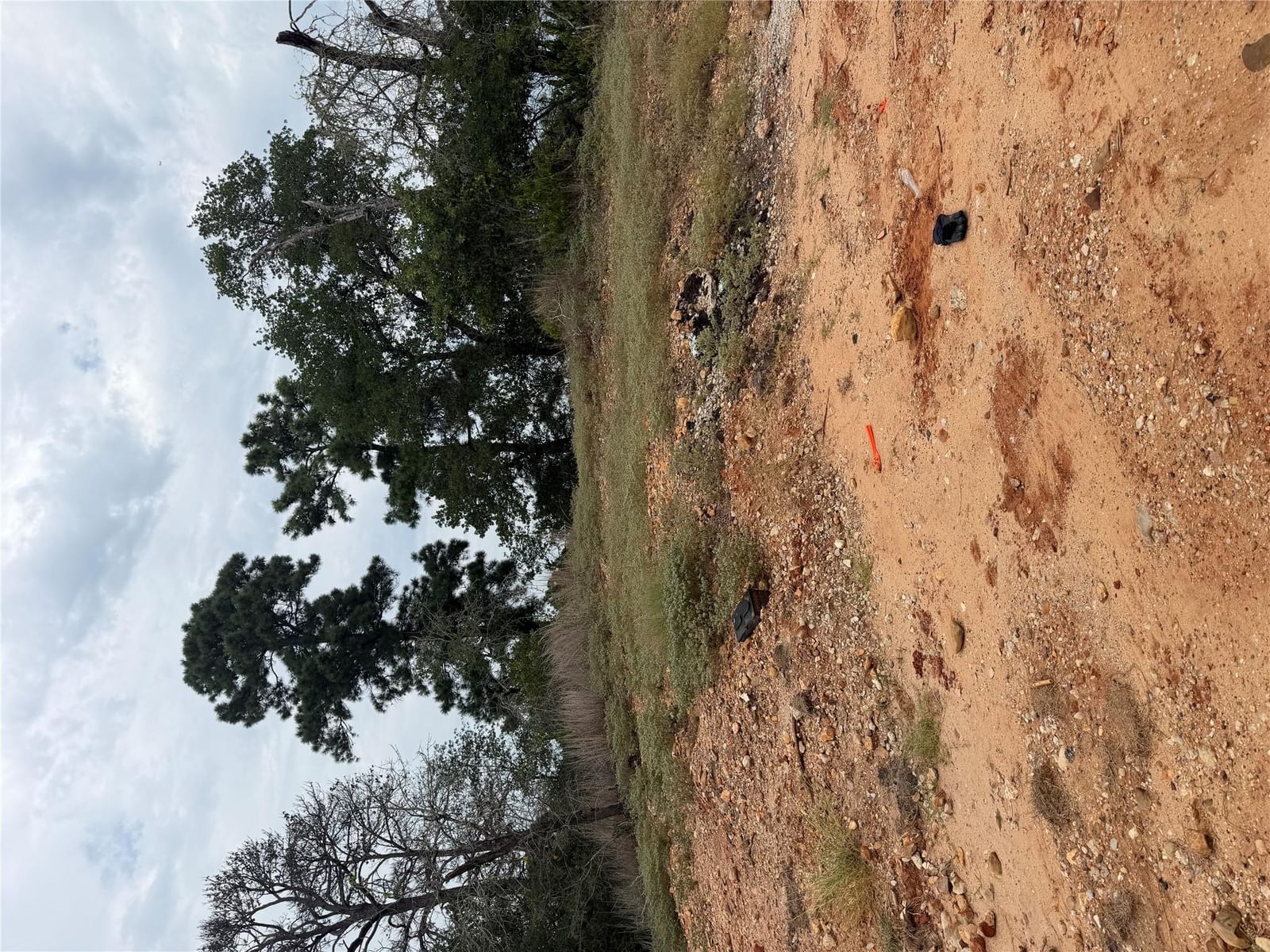 Lot 237 Kaelupulu DR - Photo 1