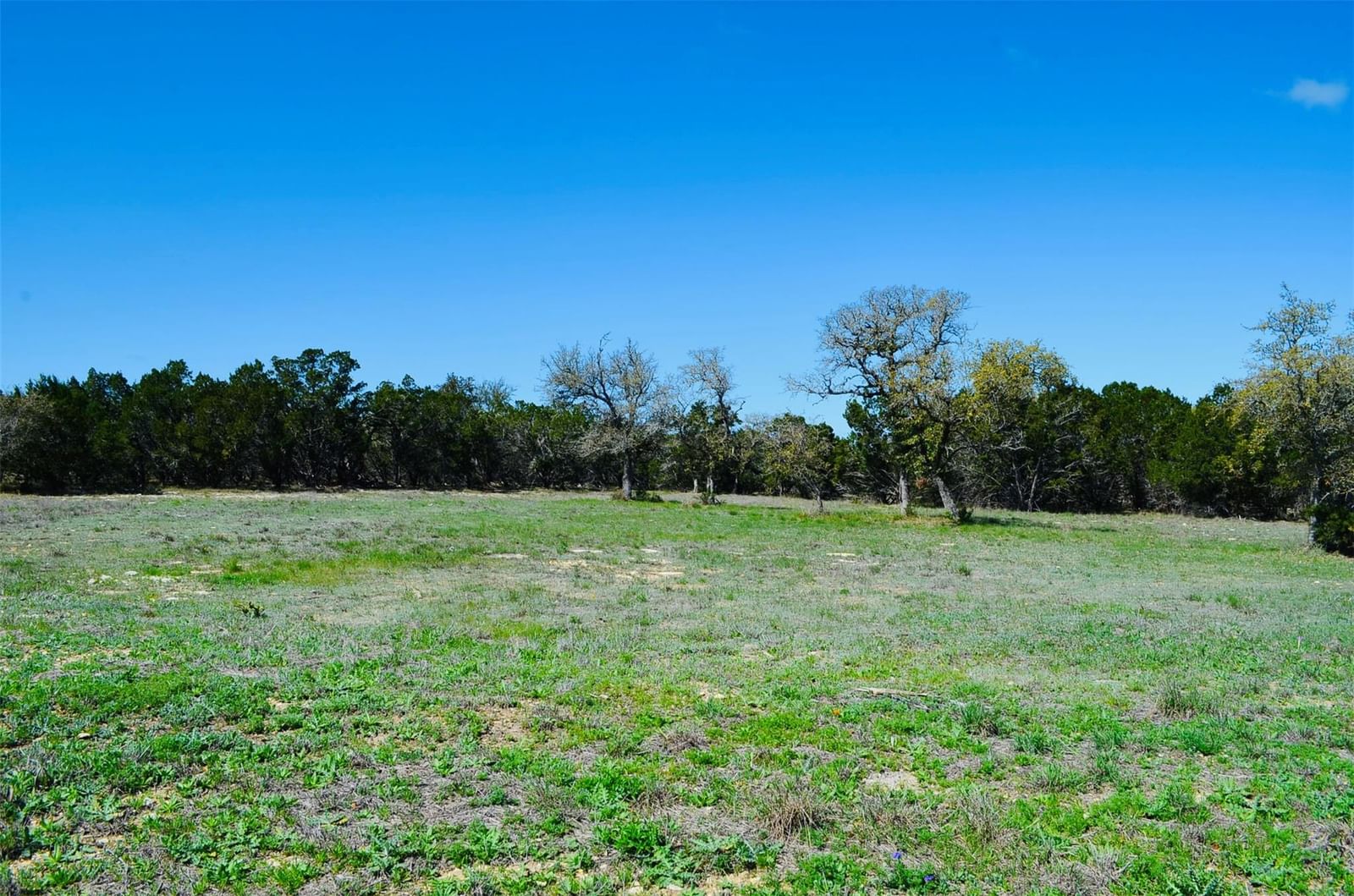 926 Malbec LOOP - Photo 1
