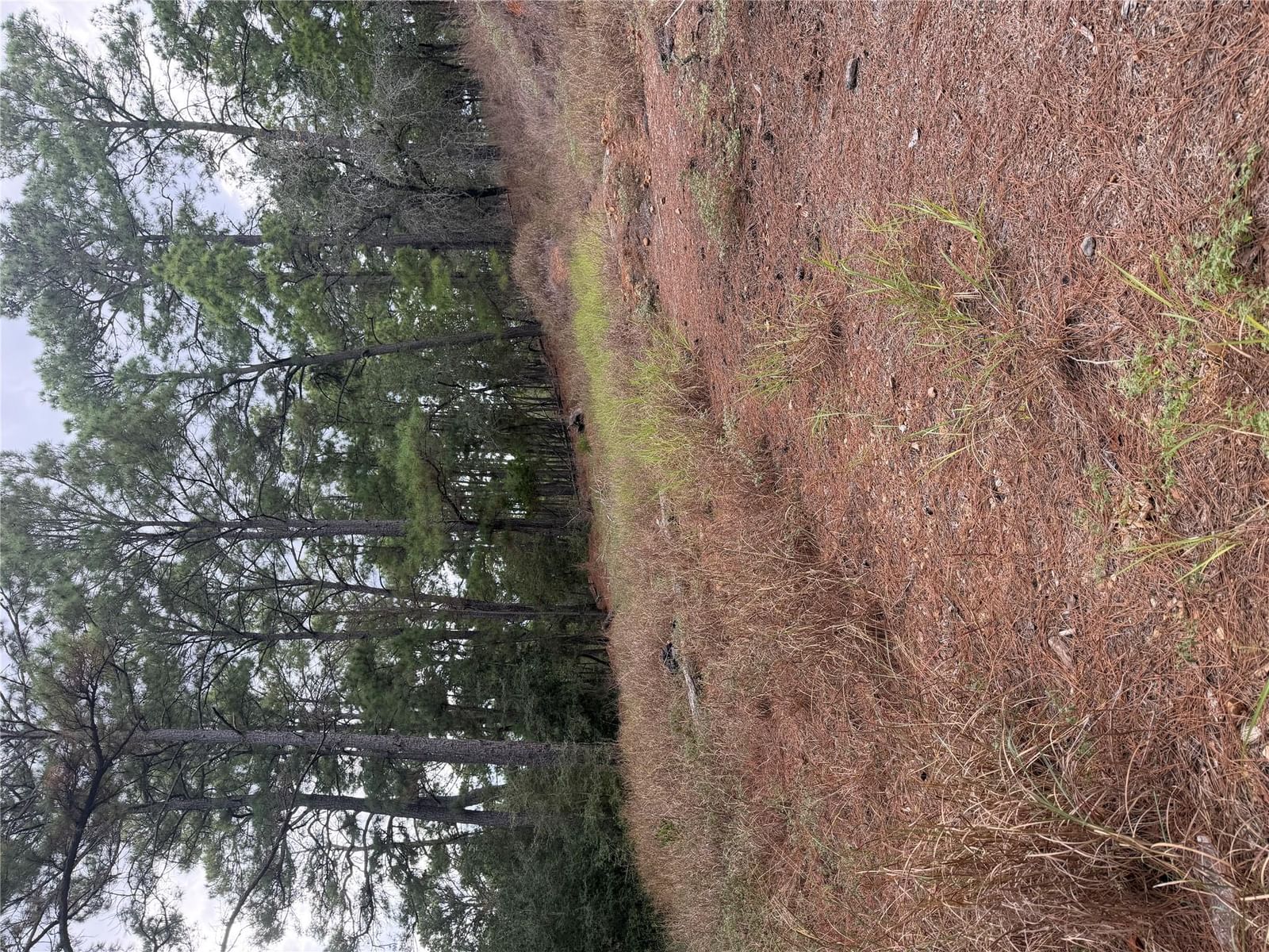 Lot 69 and 70 Taro CT - Photo 1