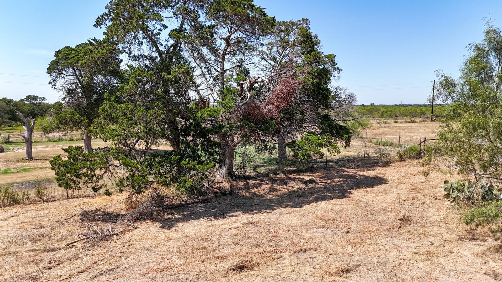 4049 Old Colony Line RD - Photo 1
