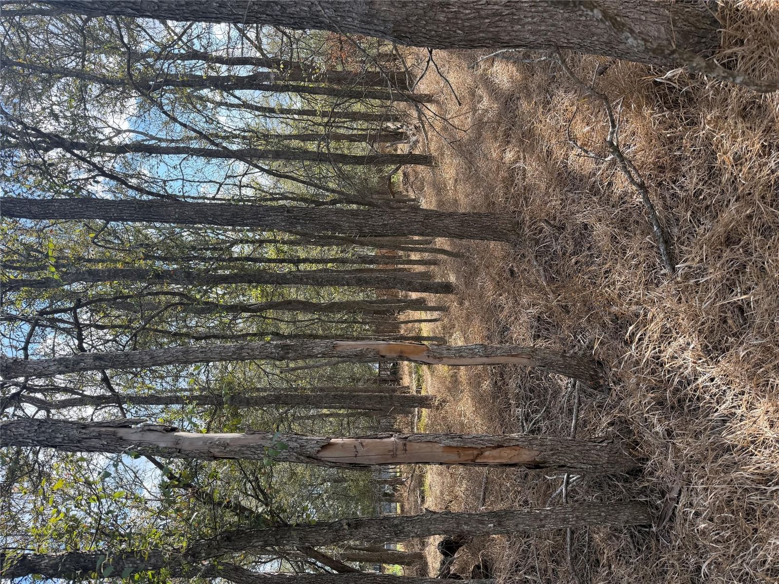 Lot 118 W Keomuku LN - Photo 1