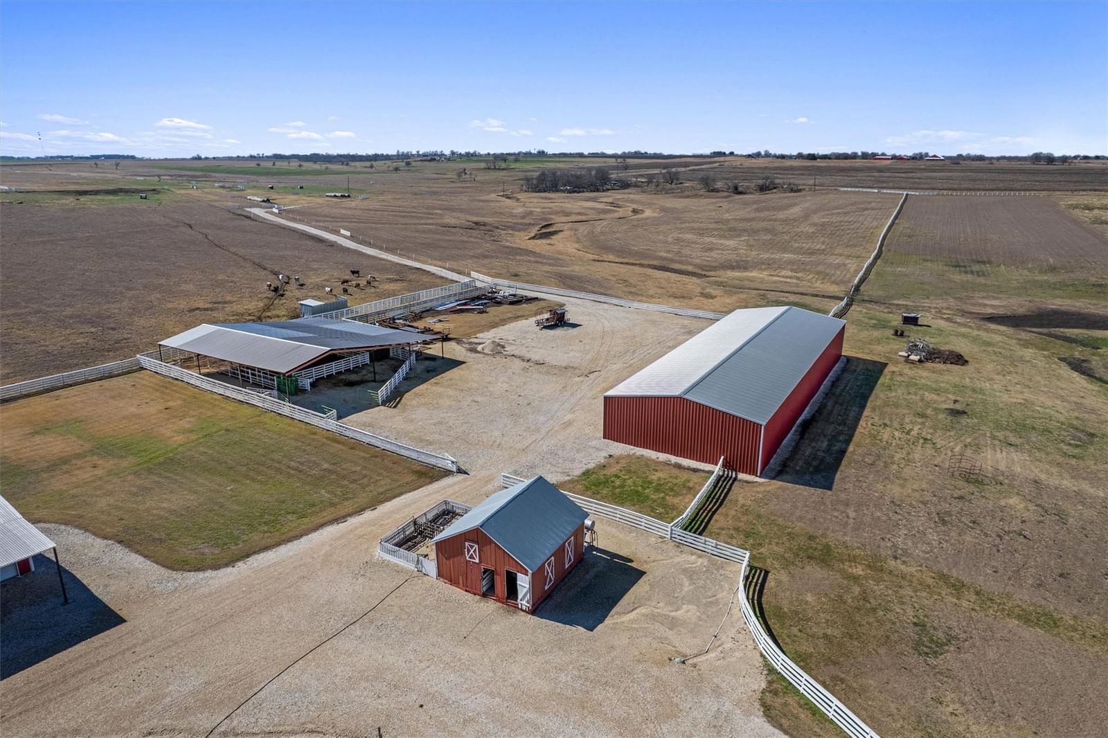 Photo 31