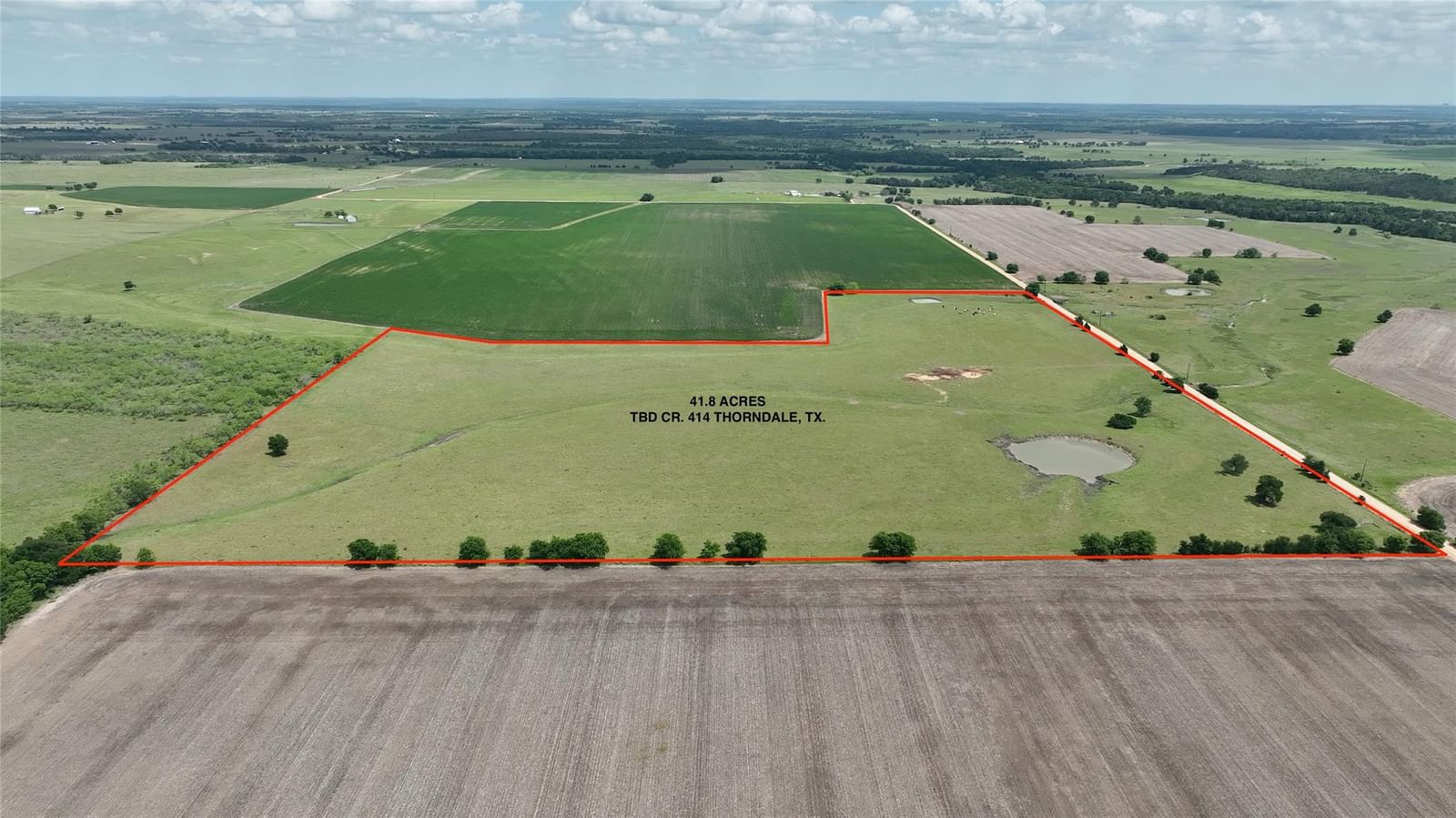 TBD County Road 414 - Photo 1