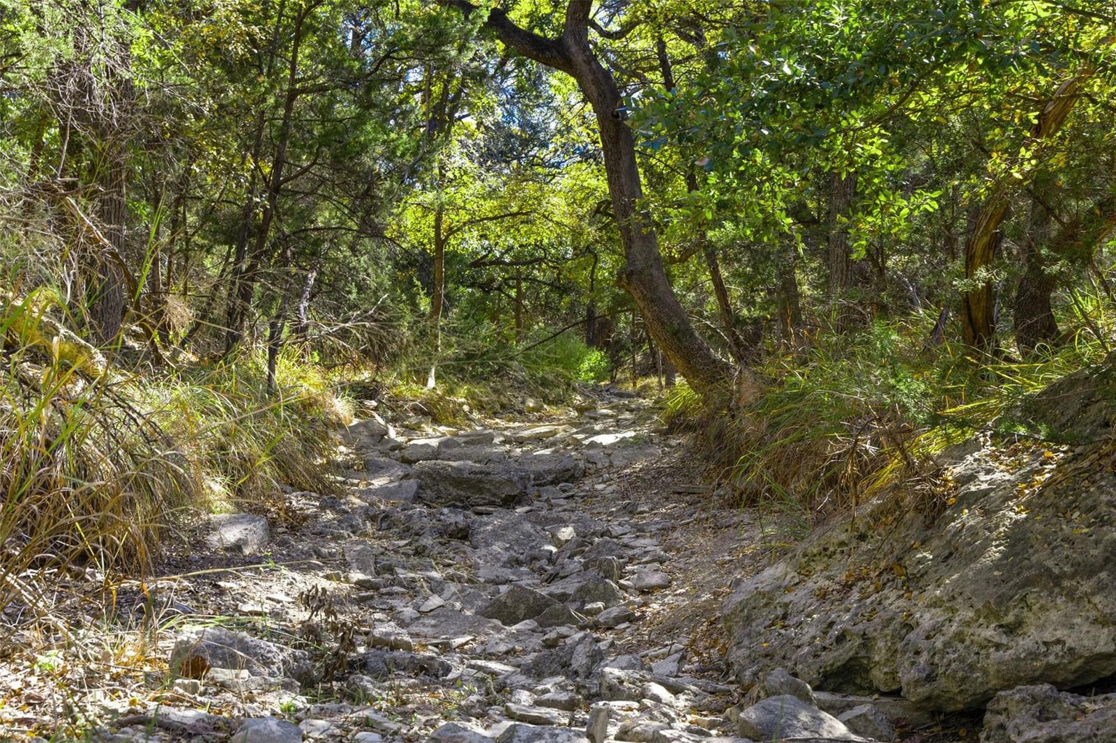 Photo 29