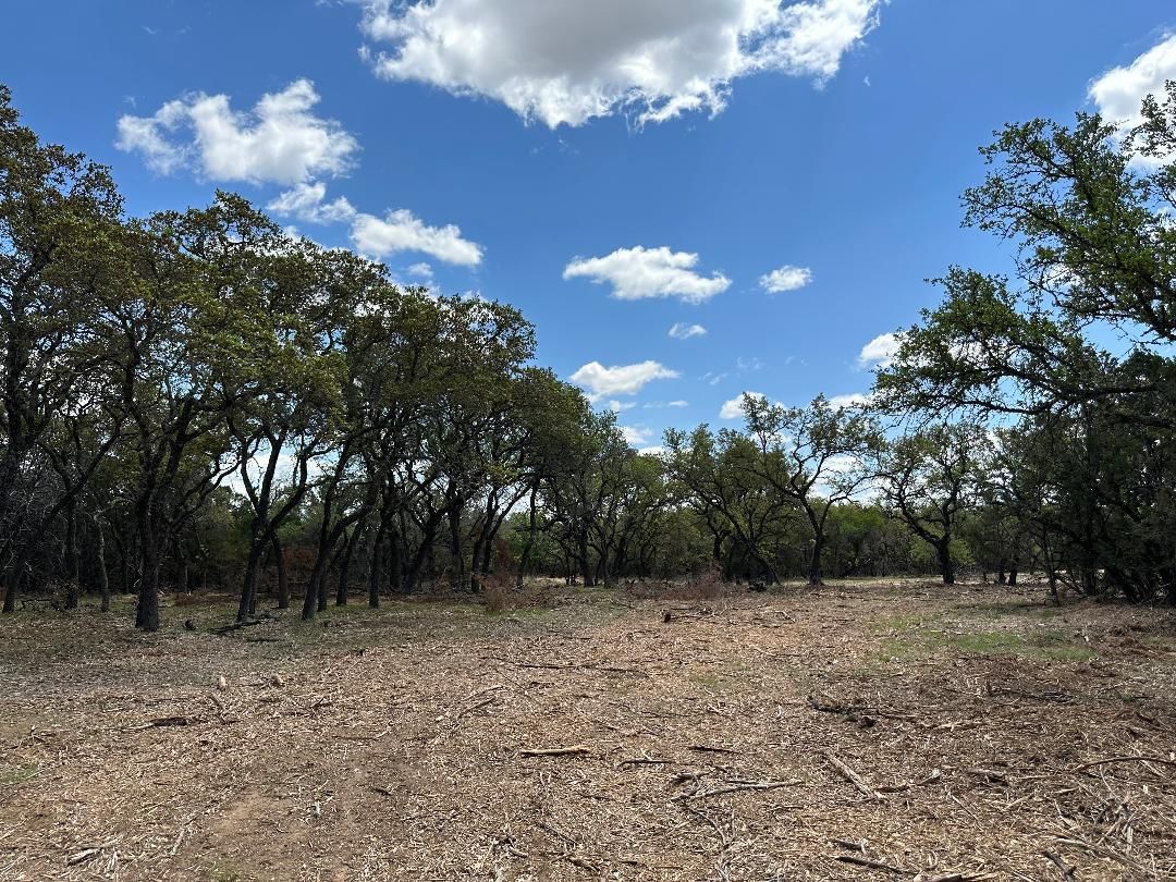 TBD County Road 529 - Photo 1