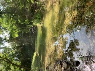 Photo 35