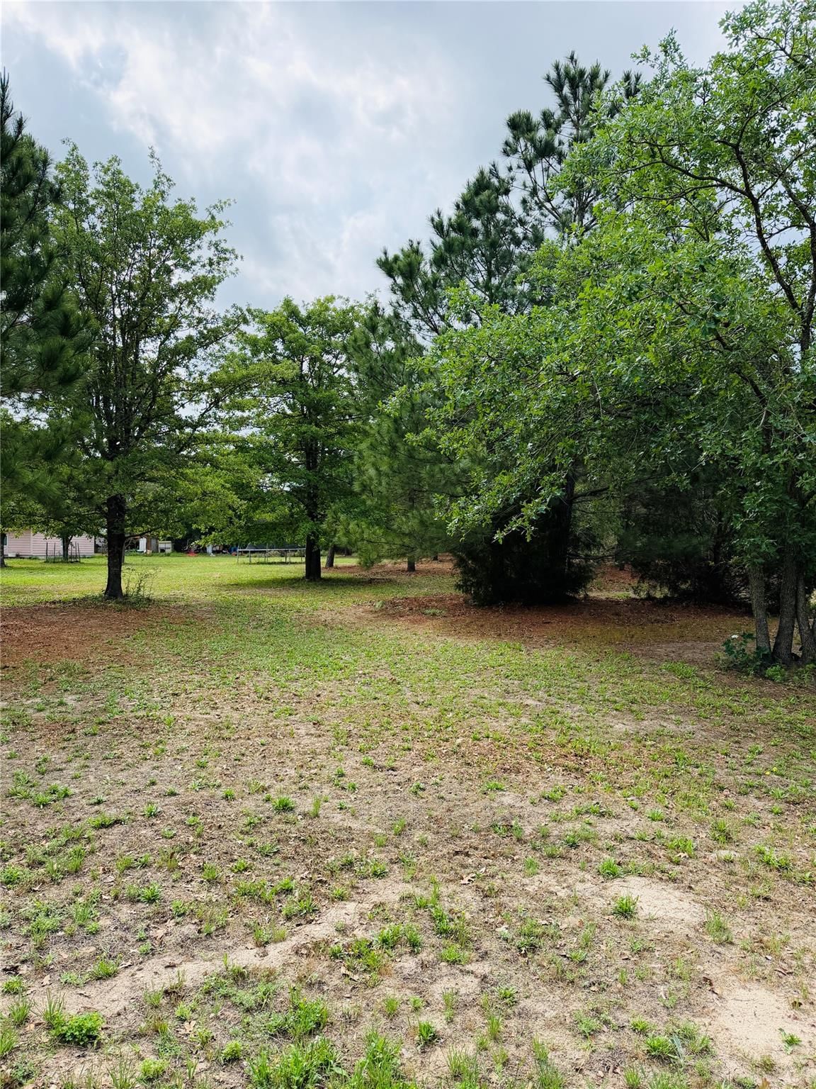 TBD Buckhorn DR - Photo 1