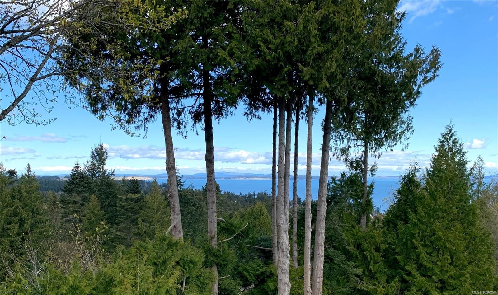 {"zip":"V8Y 2A5","area":"Capital Regional District","city":"Saanich","state":"BC","country":null,"district":null,"addressKey":"lota5070catalinaterracesaanich","streetName":"Catalina","unitNumber":"Lot A","neighborhood":"SE Cordova Bay","streetNumber":"5070","streetSuffix":"Terr","communityCode":null,"streetDirection":null,"majorIntersection":null,"streetDirectionPrefix":null}