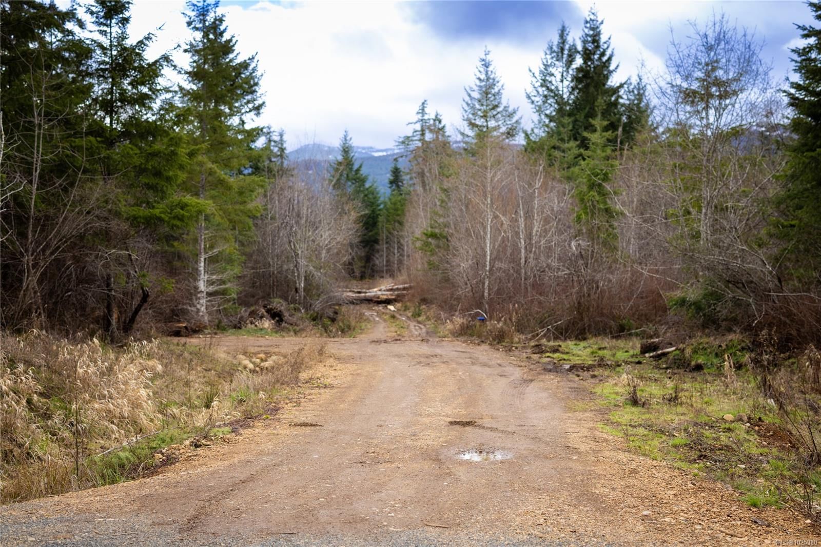 Lot 3 Flail Rd property photo