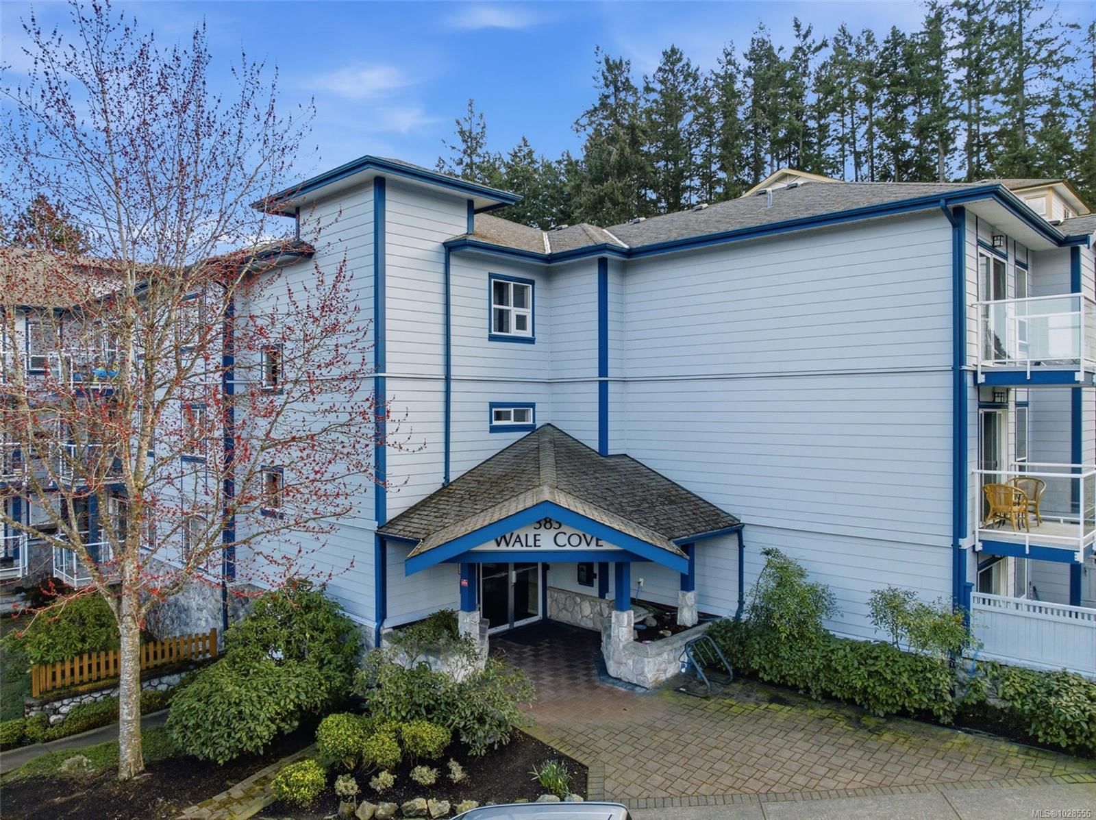 {"zip":"V9B 2P9","area":"Capital Regional District","city":"Colwood","state":"BC","country":null,"district":null,"addressKey":"103383waleroadcolwood","streetName":"Wale","unitNumber":"103","neighborhood":"Co Colwood Corners","streetNumber":"383","streetSuffix":"Rd","communityCode":null,"streetDirection":null,"majorIntersection":null,"streetDirectionPrefix":null}