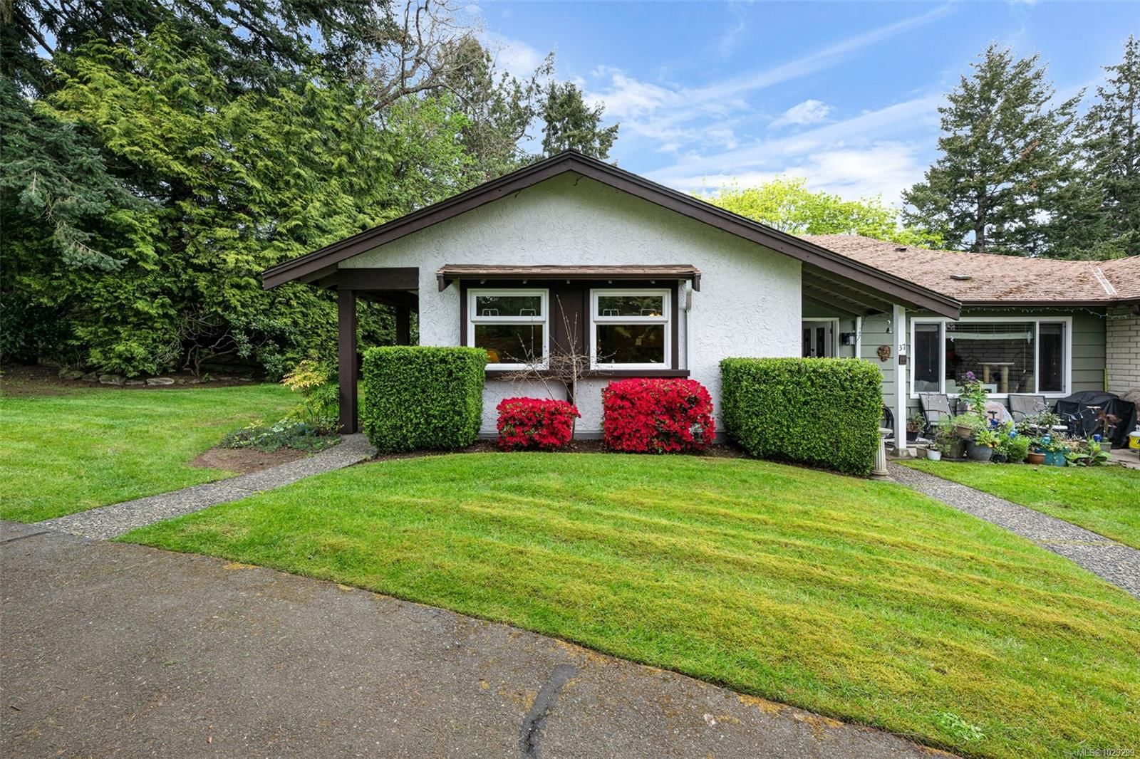 278 Island Hwy #38
