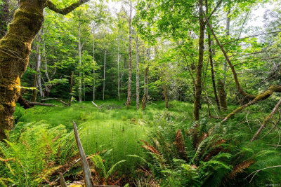 Lot 3 - 384 Seaspray Dr, Metchosin