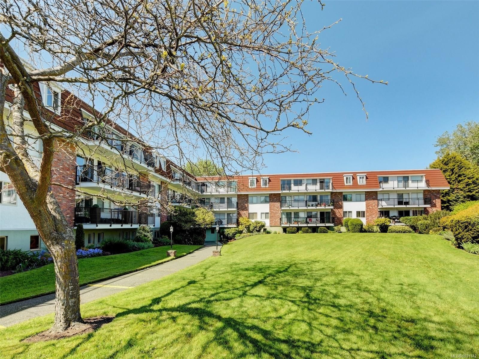 {"zip":"V8P 4K7","area":"Capital Regional District","city":"Saanich","state":"BC","country":null,"district":null,"addressKey":"1171680poplaravenuesaanich","streetName":"Poplar","unitNumber":"117","neighborhood":"SE Mt Tolmie","streetNumber":"1680","streetSuffix":"Ave","communityCode":null,"streetDirection":null,"majorIntersection":null,"streetDirectionPrefix":null}