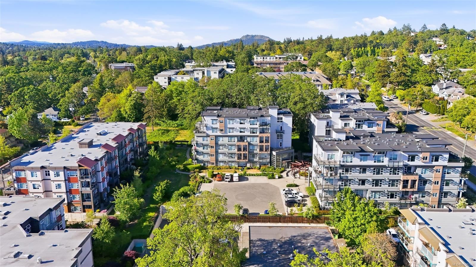 {"zip":"V8X 2S1","area":"Capital Regional District","city":"Saanich","state":"BC","country":null,"district":null,"addressKey":"5031016invernessroadsaanich","streetName":"Inverness","unitNumber":"503","neighborhood":"SE Quadra","streetNumber":"1016","streetSuffix":"Rd","communityCode":null,"streetDirection":null,"majorIntersection":null,"streetDirectionPrefix":null}