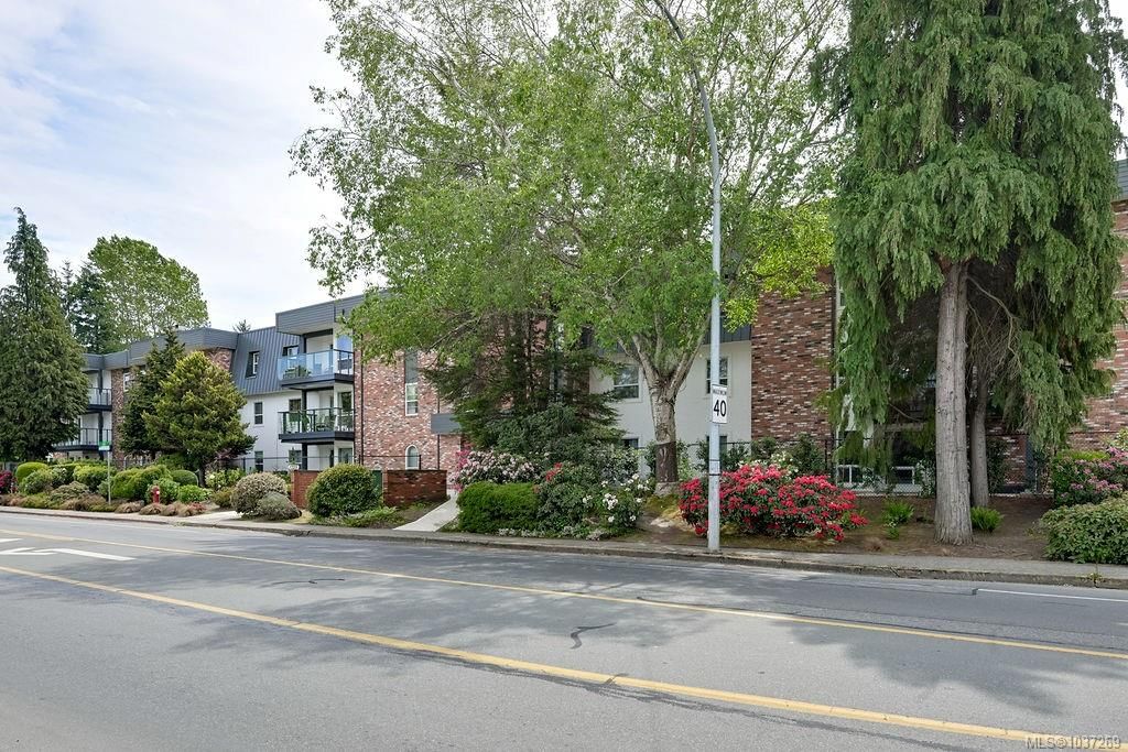 {"zip":"V8P 2P8","area":"Capital Regional District","city":"Saanich","state":"BC","country":null,"district":null,"addressKey":"1051725cedarhillcrossroadsaanich","streetName":"Cedar Hill Cross","unitNumber":"105","neighborhood":"SE Mt Tolmie","streetNumber":"1725","streetSuffix":"Rd","communityCode":null,"streetDirection":null,"majorIntersection":null,"streetDirectionPrefix":null}
