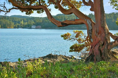 0 Fane Island, Pender Island