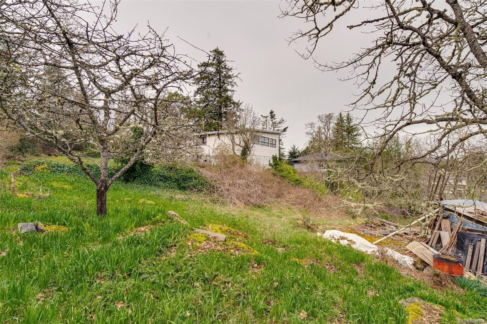 3961 Helen Rd property photo