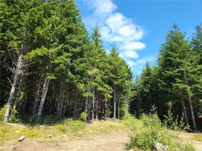 1 Timberline Way, Sooke