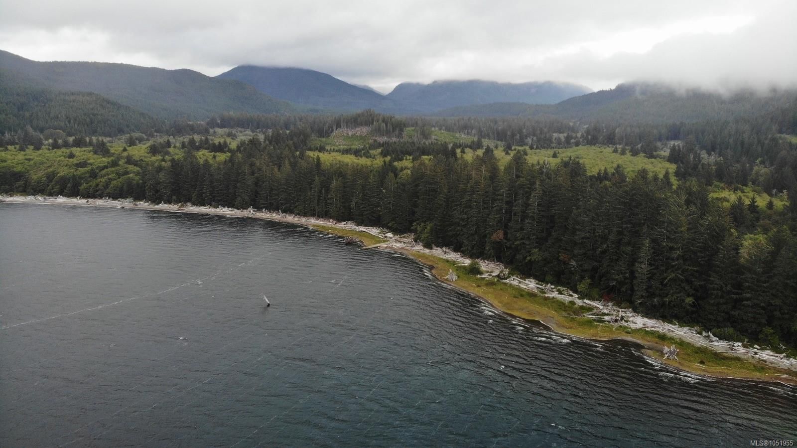 Lot 2 Carmanah Mainline Rd property photo