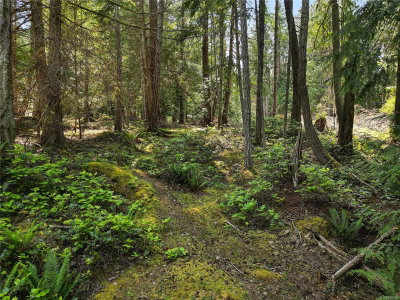 568 Aya Reach Rd, Mayne Island